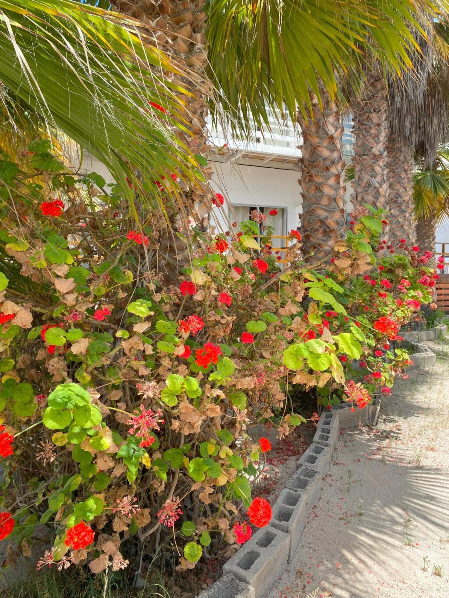 Hotel & Cabanas El Mirador Калдера Екстериор снимка