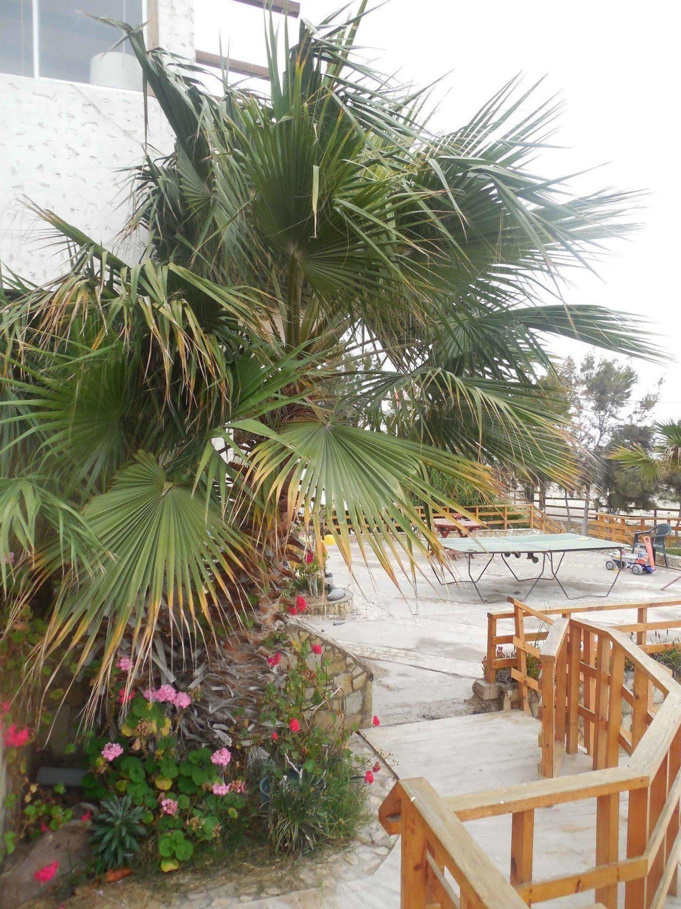 Hotel & Cabanas El Mirador Калдера Екстериор снимка